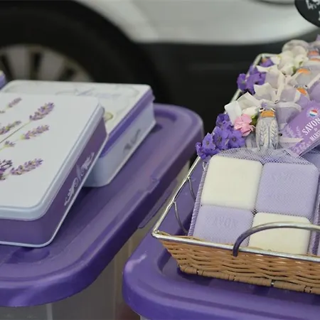 公寓 2 Pieces Sur La - 5 Couchages - Fr-1-251-443